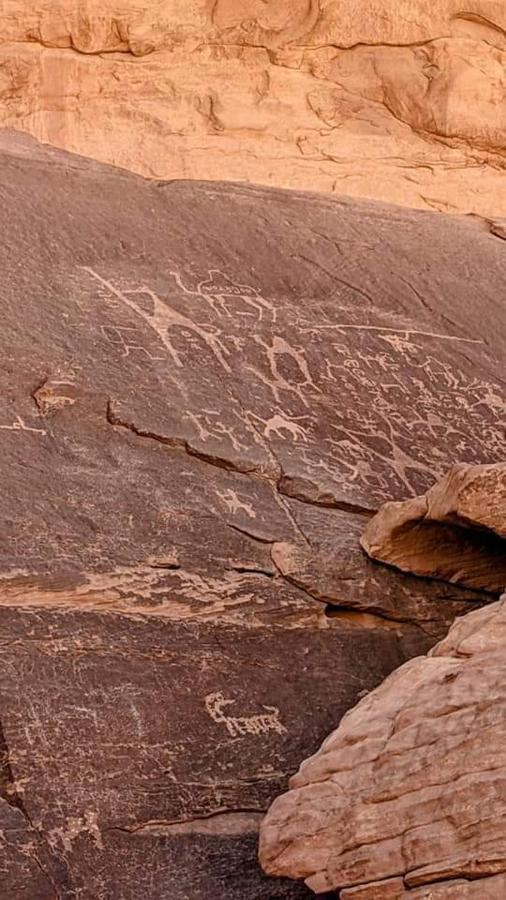 Enad Desert Camp Rum vádi Kültér fotó