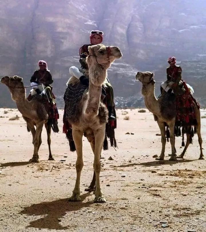 Enad Desert Camp Rum vádi Kültér fotó