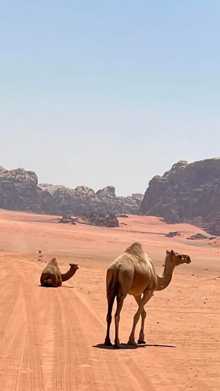 Enad Desert Camp Rum vádi Kültér fotó