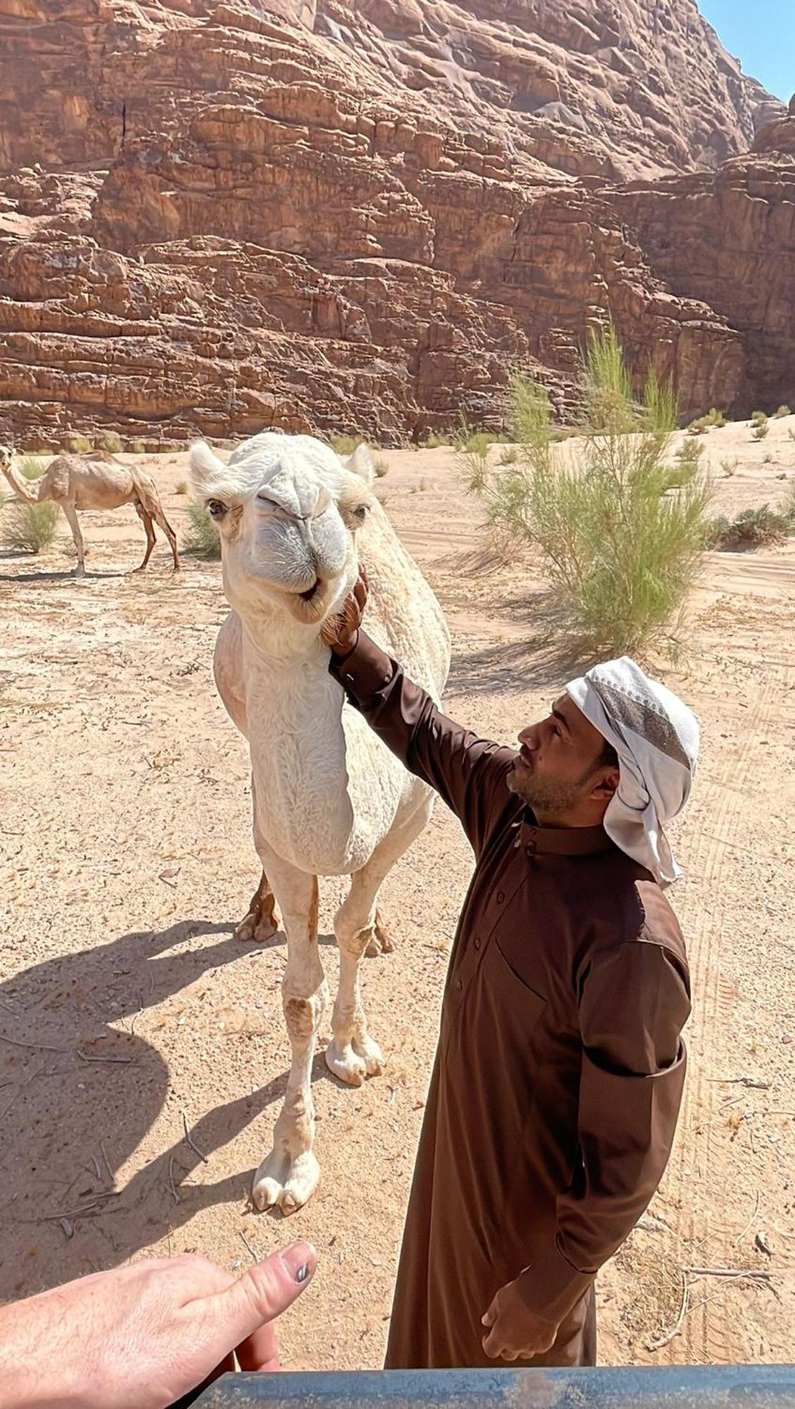 Enad Desert Camp Rum vádi Kültér fotó